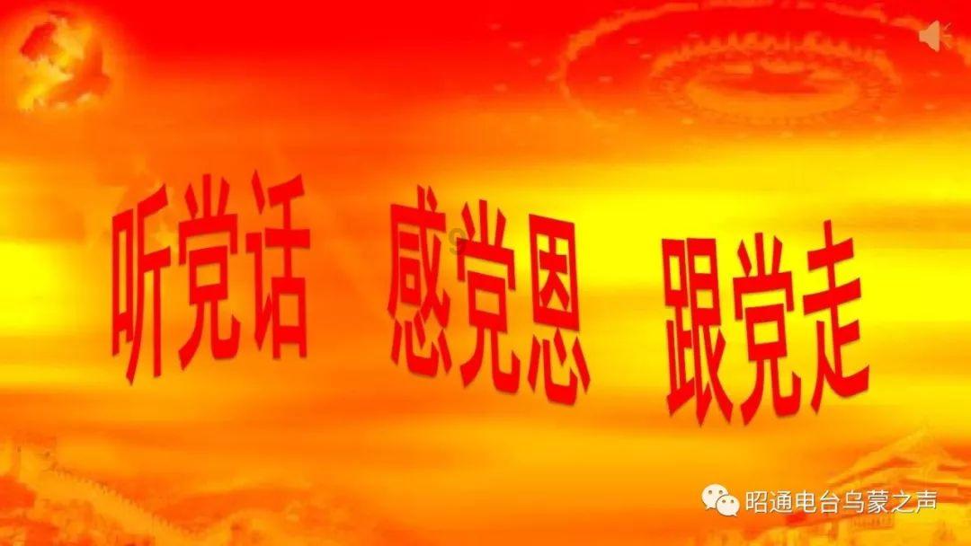逗小猴开心系列204